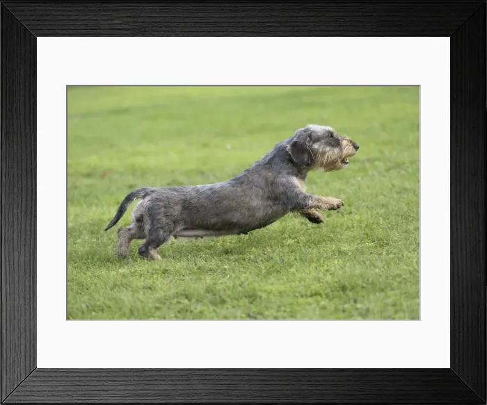 Framed Print : Picture No. 11771796 Framed Print : Picture No. 11771796