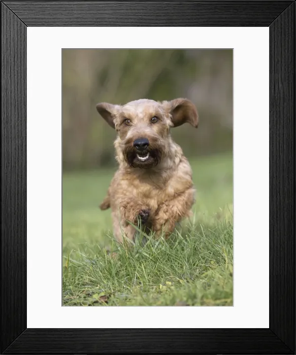 Framed Print : Picture No. 11771800 Framed Print : Picture No. 11771800