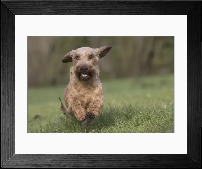 Framed Print : Picture No. 11771802 Framed Print : Picture No. 11771802