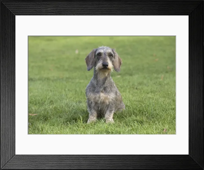 Framed Print : Picture No. 11771808 Framed Print : Picture No. 11771808