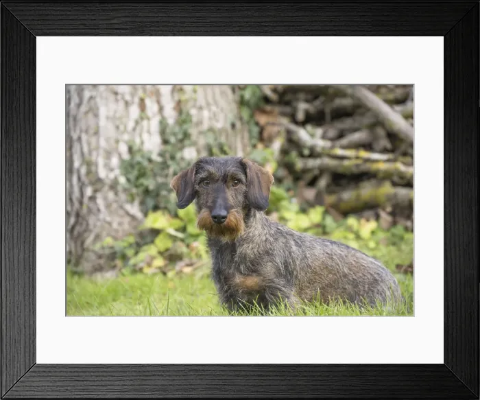 Framed Print : Picture No. 11771817 Framed Print : Picture No. 11771817