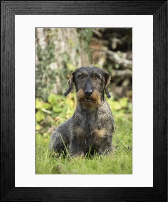 Framed Print : Picture No. 11771818 Framed Print : Picture No. 11771818