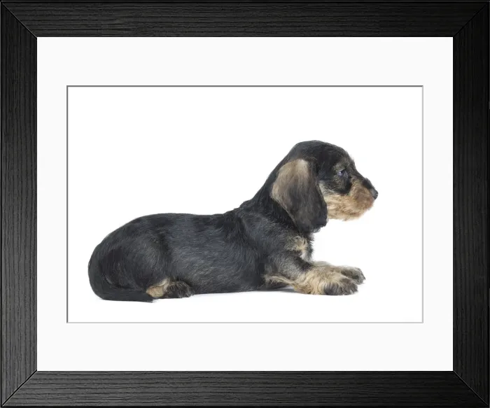 Framed Print : Picture No. 11771823 Framed Print : Picture No. 11771823