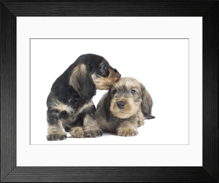 Framed Print : Picture No. 11771825 Framed Print : Picture No. 11771825
