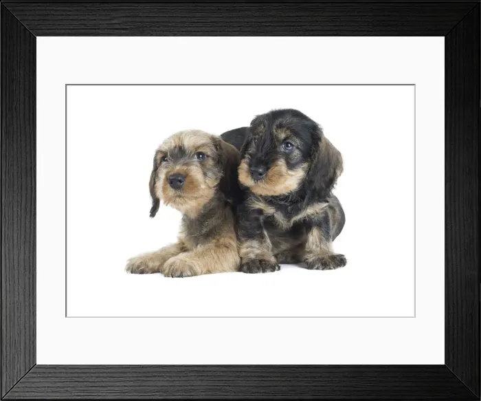 Framed Print : Picture No. 11771826 Framed Print : Picture No. 11771826
