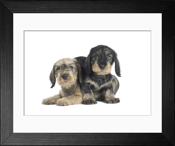 Framed Print : Picture No. 11771828 Framed Print : Picture No. 11771828