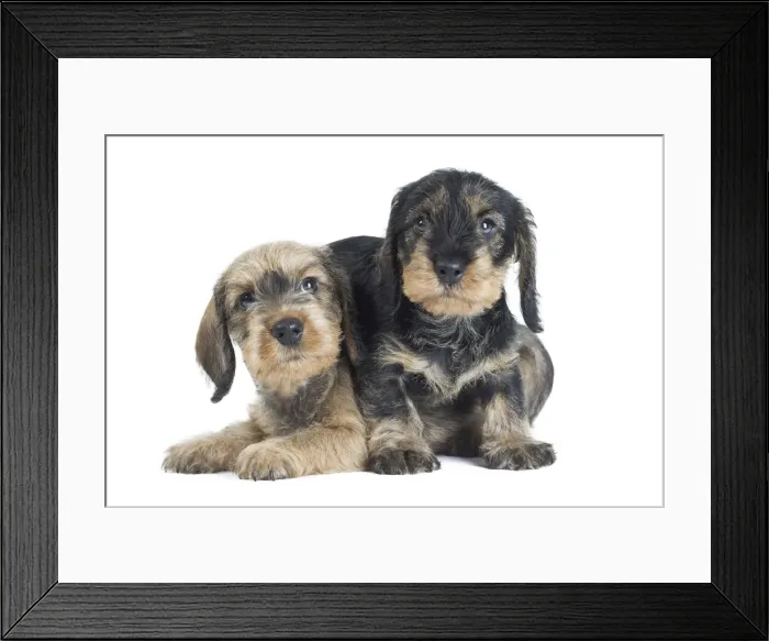Framed Print : Picture No. 11771829 Framed Print : Picture No. 11771829