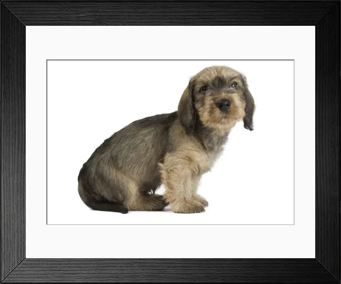 Framed Print : Picture No. 11771836