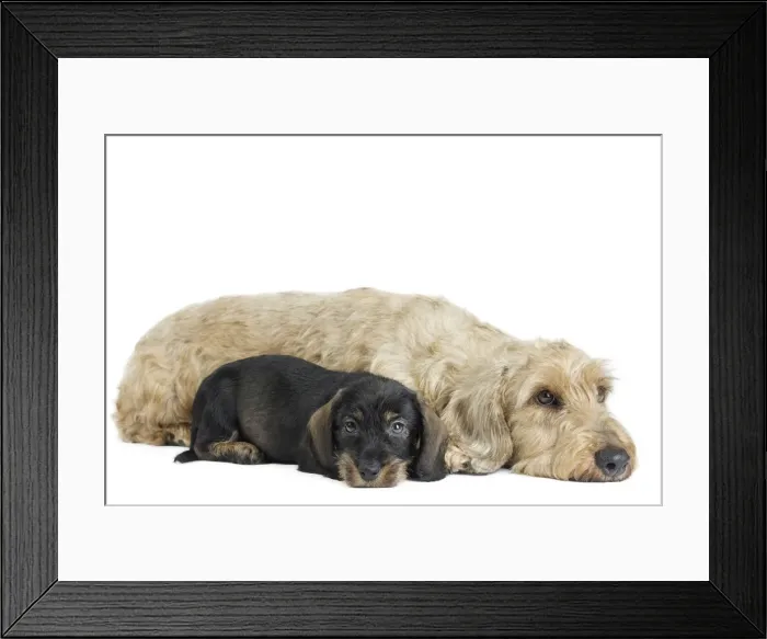 Framed Print : Picture No. 11771844 Framed Print : Picture No. 11771844