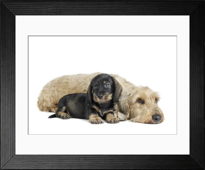 Framed Print : Picture No. 11771845 Framed Print : Picture No. 11771845