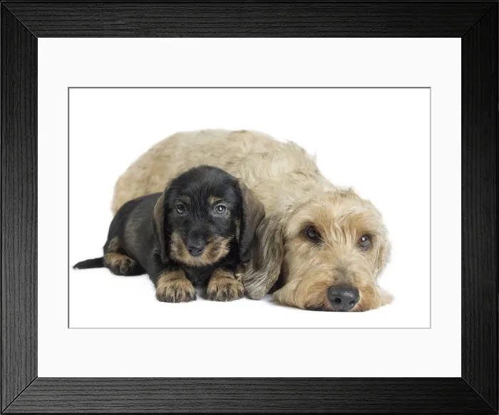 Framed Print : Picture No. 11771848 Framed Print : Picture No. 11771848