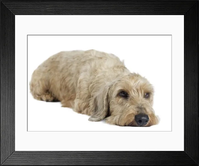 Framed Print : Picture No. 11771855 Framed Print : Picture No. 11771855