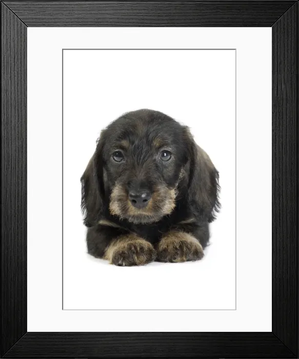Framed Print : Picture No. 11771857 Framed Print : Picture No. 11771857