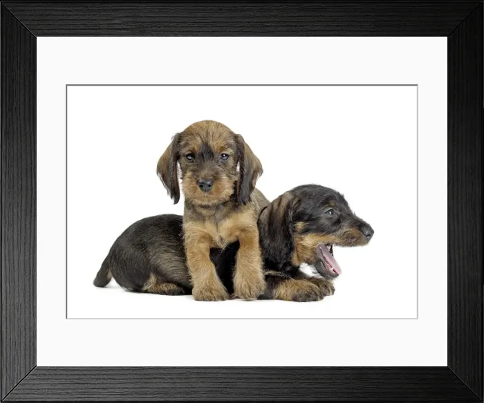 Framed Print : Picture No. 11771860 Framed Print : Picture No. 11771860