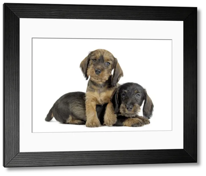 Framed Print : Picture No. 11771862 Framed Print : Picture No. 11771862
