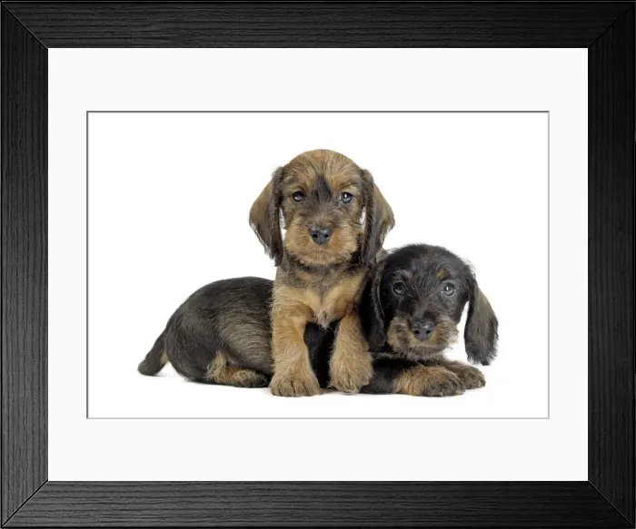 Framed Print : Picture No. 11771861 Framed Print : Picture No. 11771861