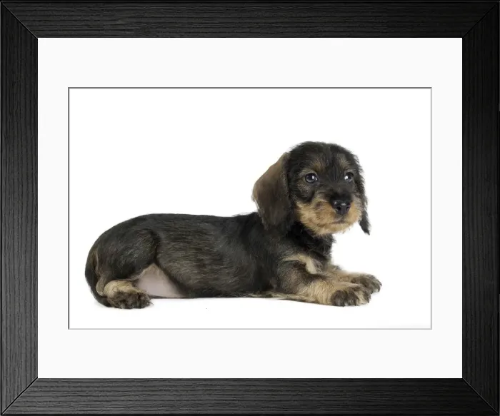 Framed Print : Picture No. 11771863 Framed Print : Picture No. 11771863