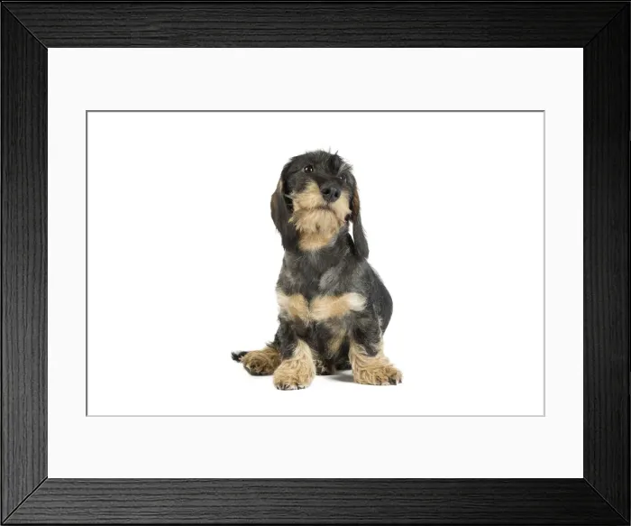 Framed Print : Picture No. 11771869 Framed Print : Picture No. 11771869