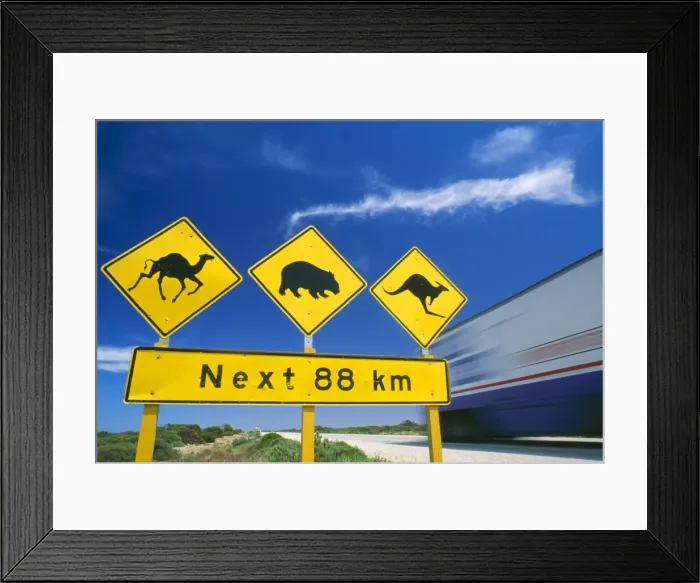 Framed Print : Australia. JPF-8286. Australia. Road sign Nullarbor Highway, Camel, Wombat, Kangaroo Framed Print : Australia. JPF-8286. Australia. Road sign Nullarbor Highway, Camel, Wombat, Kangaroo