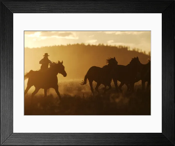 Framed Print : Cattleman riding Quarter / Paint Horse at sunset. Ponderosa Ranch - Seneca - Oregon - USA Framed Print : Cattleman riding Quarter / Paint Horse at sunset. Ponderosa Ranch - Seneca - Oregon - USA