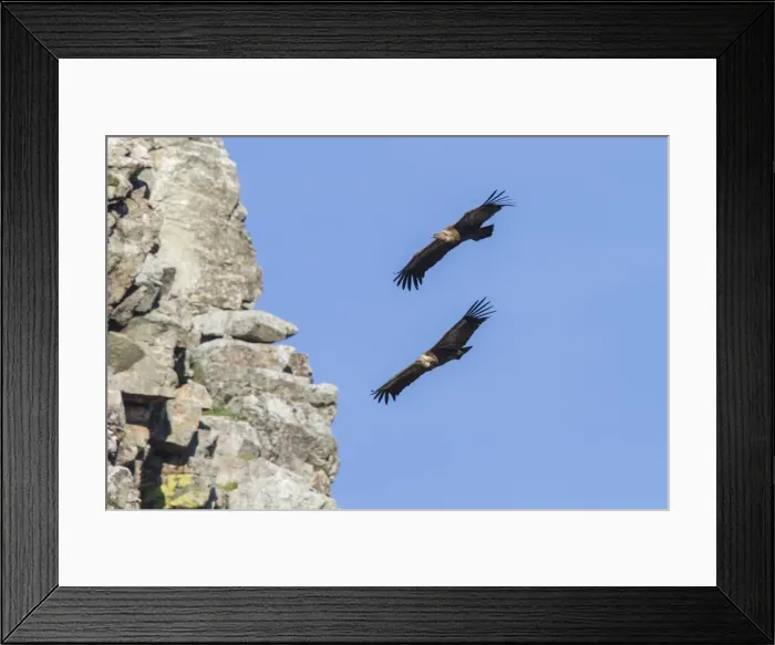 Framed Print : Picture No. 11806782 Framed Print : Picture No. 11806782