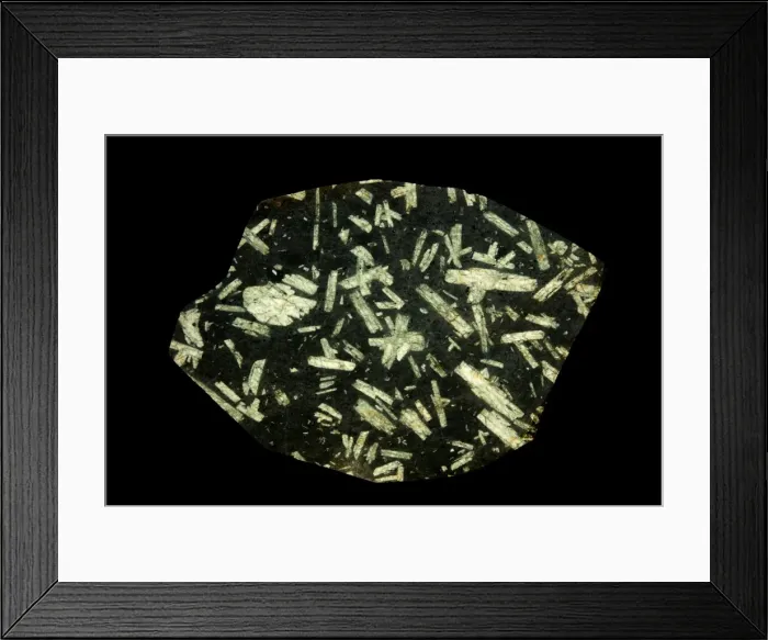 Framed Print : Picture No. 11806836 Framed Print : Picture No. 11806836