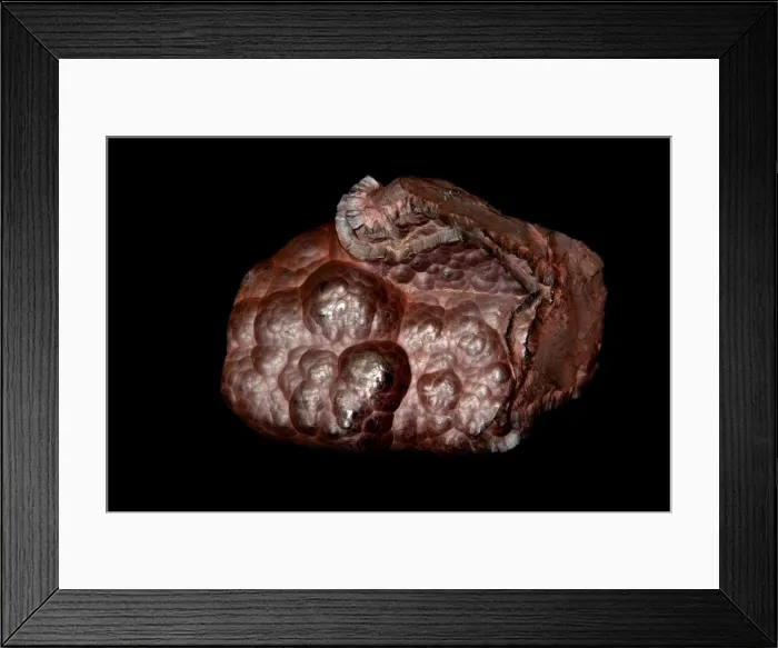 Framed Print : Picture No. 11806843 Framed Print : Picture No. 11806843