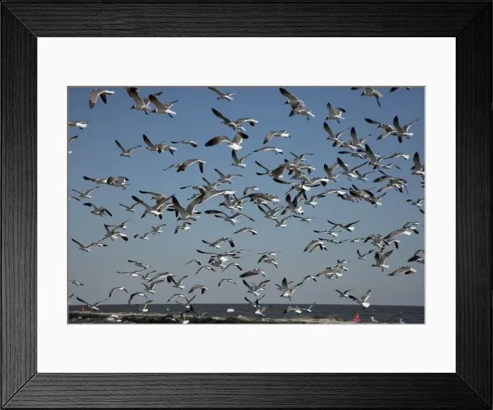 Framed Print : Picture No. 11806847 Framed Print : Picture No. 11806847