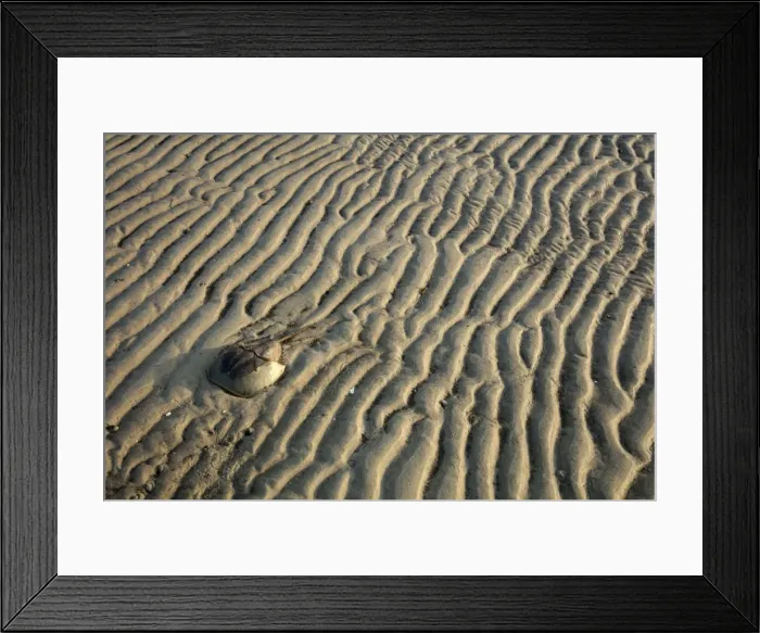 Framed Print : Picture No. 11806846 Framed Print : Picture No. 11806846