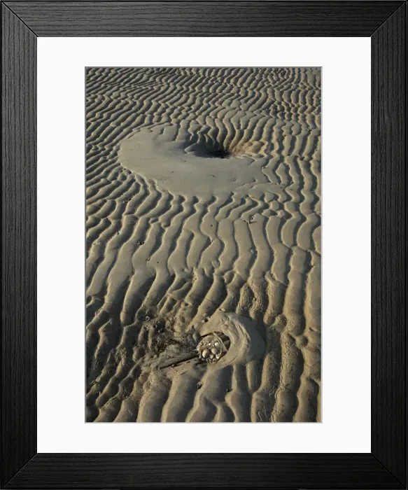 Framed Print : Picture No. 11806853 Framed Print : Picture No. 11806853