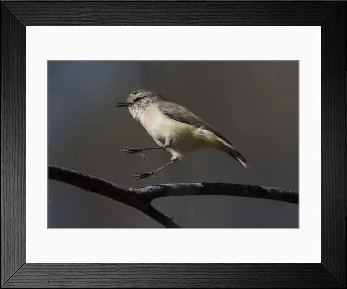 Framed Print : Picture No. 11806907 Framed Print : Picture No. 11806907