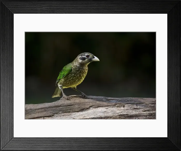 Framed Print : Picture No. 11806913 Framed Print : Picture No. 11806913