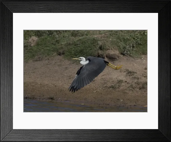 Framed Print : Picture No. 11806934 Framed Print : Picture No. 11806934