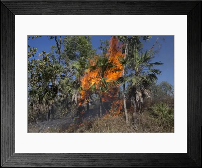 Framed Print : Picture No. 11806954 Framed Print : Picture No. 11806954