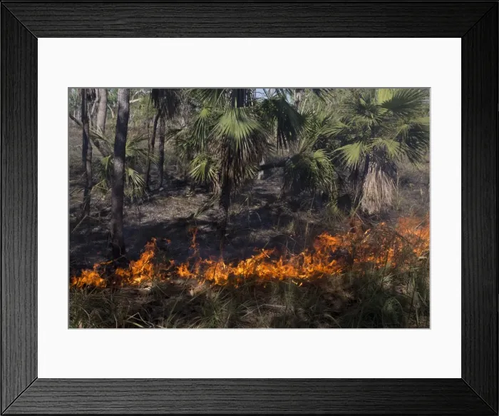 Framed Print : Picture No. 11806956 Framed Print : Picture No. 11806956