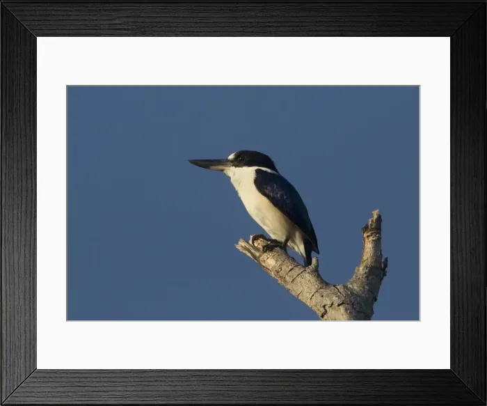 Framed Print : Picture No. 11806960 Framed Print : Picture No. 11806960