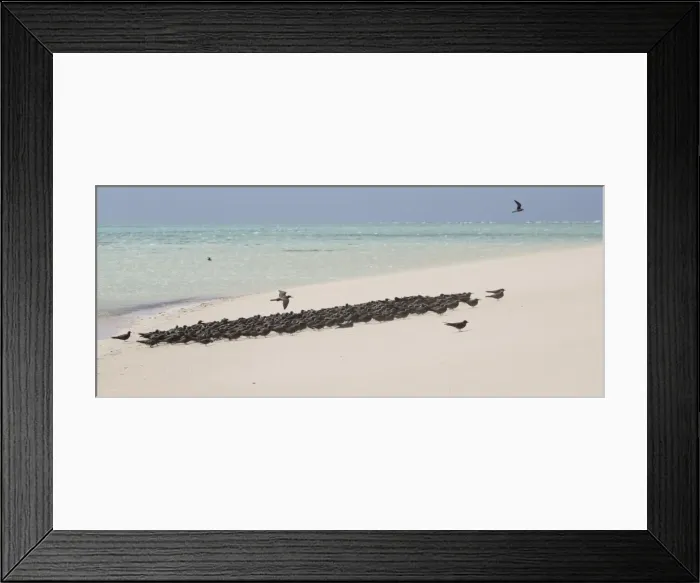 Framed Print : Picture No. 11806963 Framed Print : Picture No. 11806963