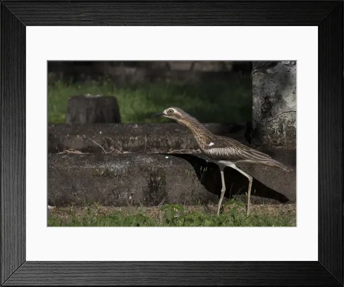 Framed Print : Picture No. 11806964 Framed Print : Picture No. 11806964
