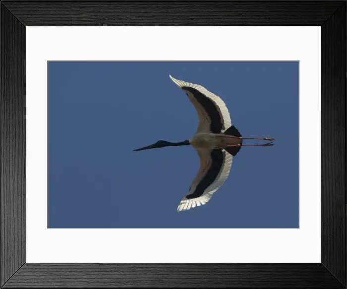 Framed Print : Picture No. 11806975 Framed Print : Picture No. 11806975