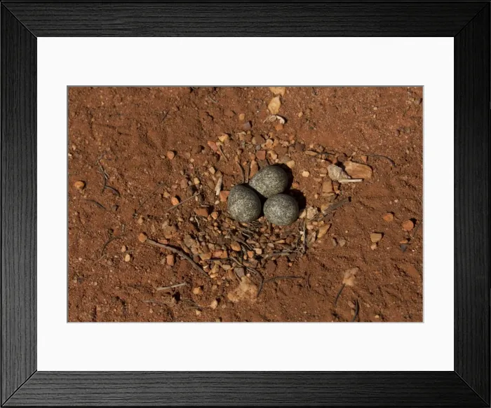 Framed Print : Picture No. 11806979 Framed Print : Picture No. 11806979