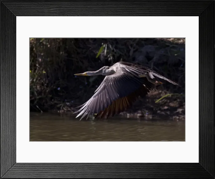 Framed Print : Picture No. 11806988 Framed Print : Picture No. 11806988