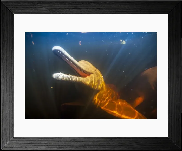 Framed Print : Picture No. 11806992 Framed Print : Picture No. 11806992