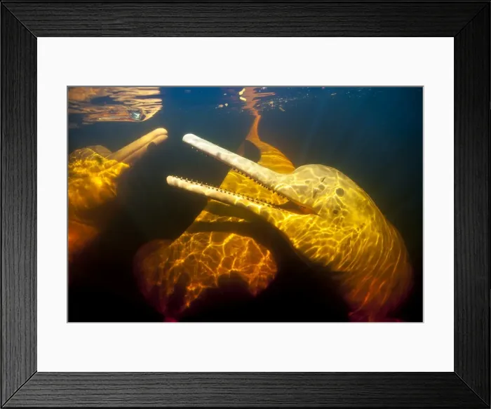 Framed Print : Picture No. 11807000 Framed Print : Picture No. 11807000