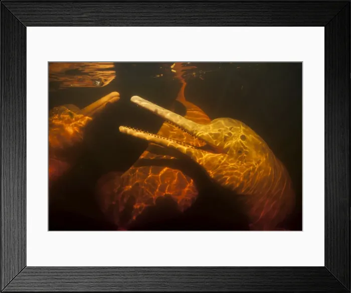 Framed Print : Picture No. 11807007 Framed Print : Picture No. 11807007