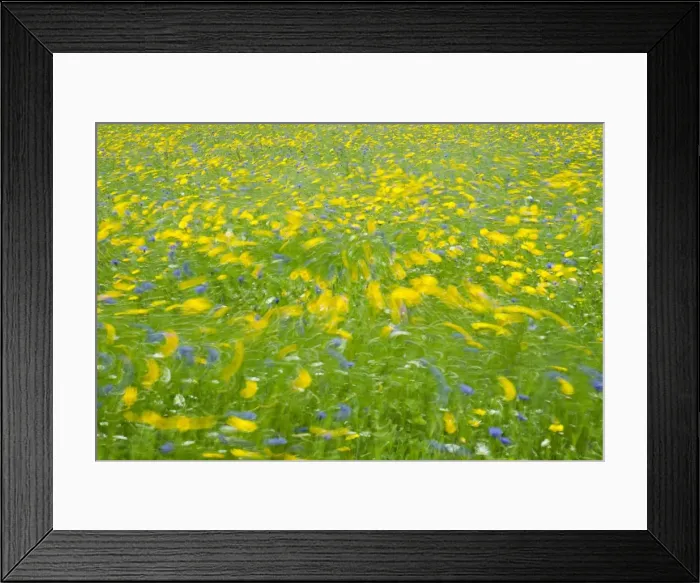 Framed Print : Picture No. 11807027 Framed Print : Picture No. 11807027