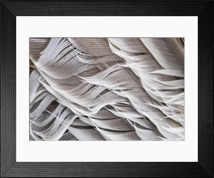 Framed Print : Picture No. 11807037 Framed Print : Picture No. 11807037