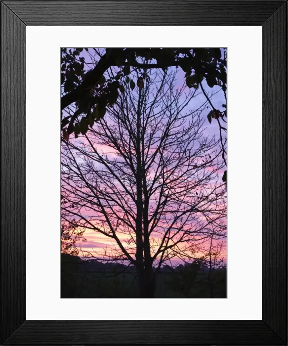 Framed Print : Picture No. 11807043
