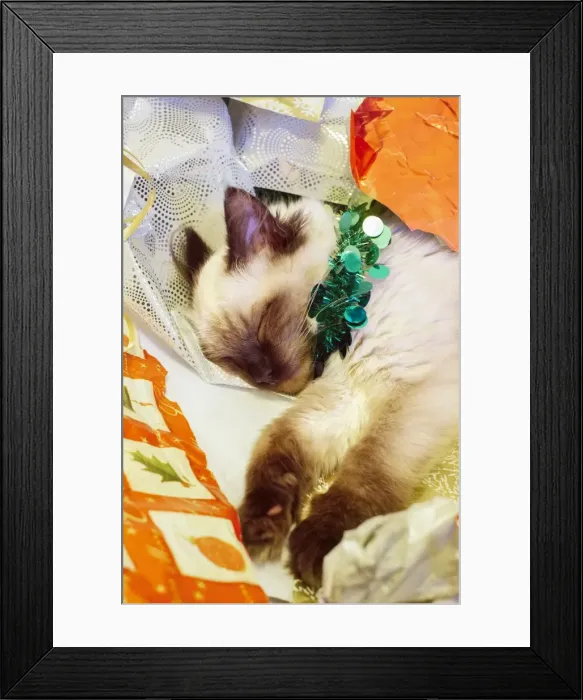 Framed Print : Picture No. 11807052 Framed Print : Picture No. 11807052