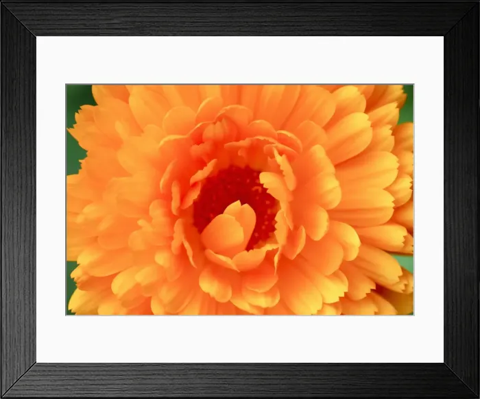 Framed Print : Picture No. 11807064 Framed Print : Picture No. 11807064