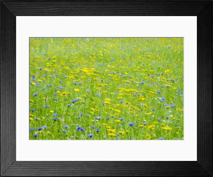 Framed Print : Picture No. 11807101 Framed Print : Picture No. 11807101